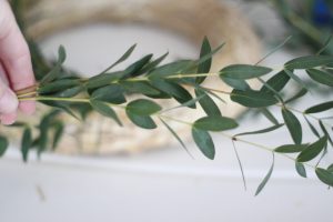 Eukalyptuskranz binden